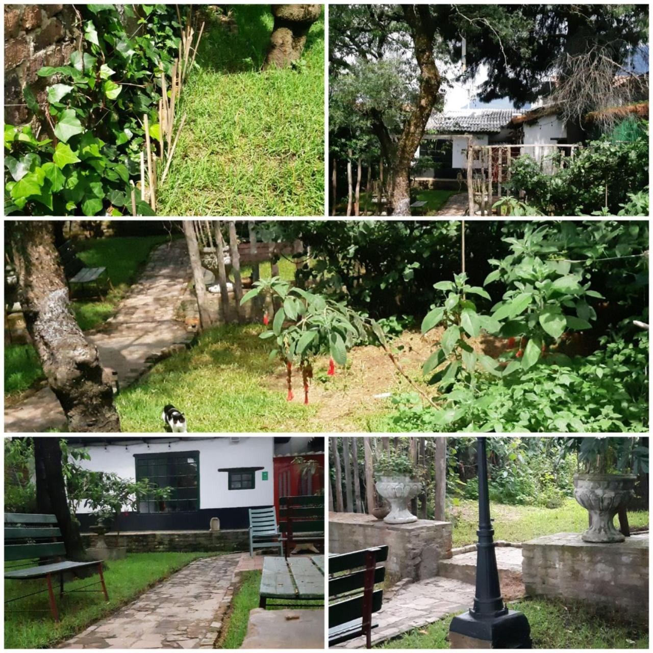 בוגוטה Cedron Hostel מראה חיצוני תמונה