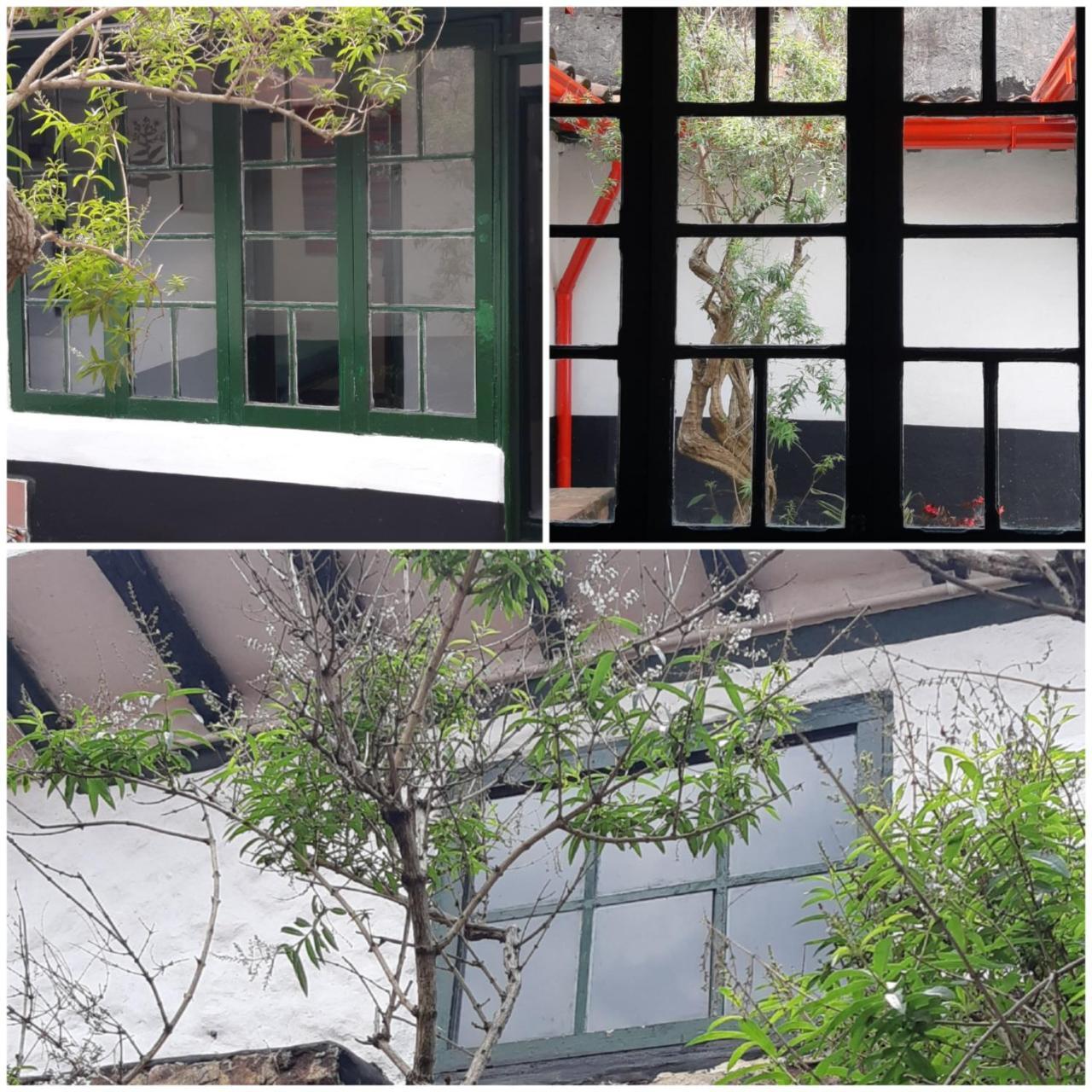 בוגוטה Cedron Hostel מראה חיצוני תמונה